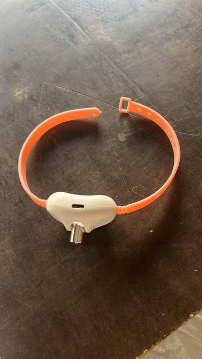 Pet Laser Collar Self-Teasing Toy